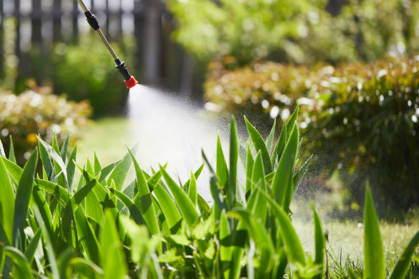 24/7 Emergency Mosquito Control experts in Clinton, KY