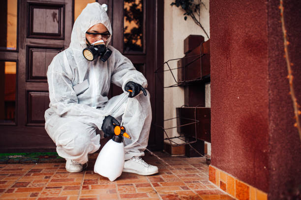 Reliable Mosquito Control contractor in Clinton, KY by Show Me Pest Control